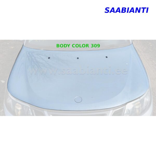 Bonnett-12771537-BC309-SaabiAnti